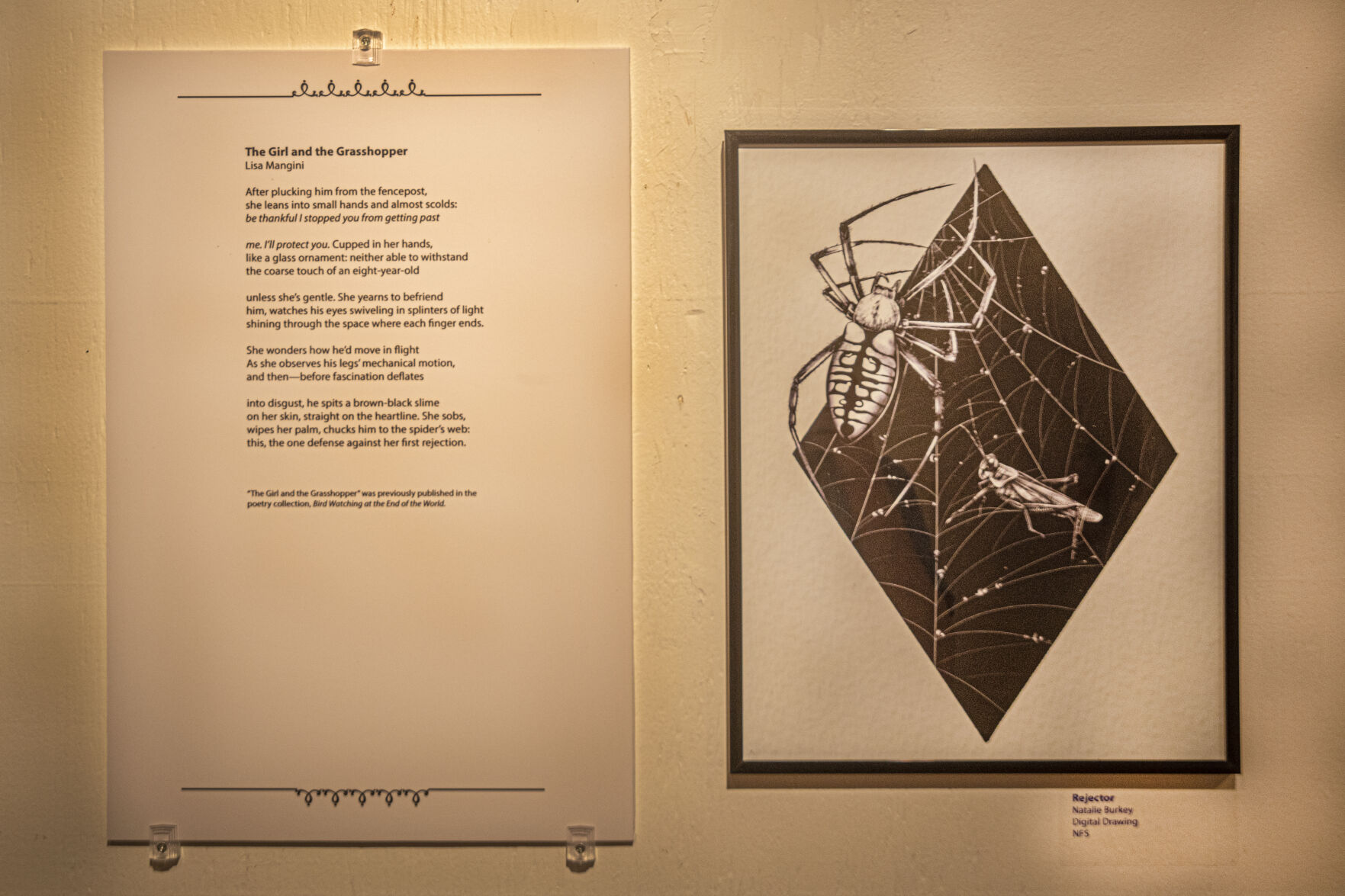 Fem-Fusion Art Exhibit, Piece 10
